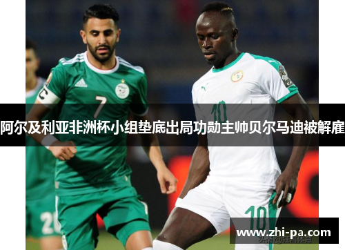阿尔及利亚非洲杯小组垫底出局功勋主帅贝尔马迪被解雇